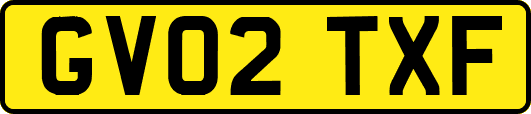GV02TXF
