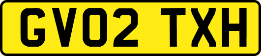 GV02TXH