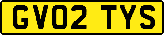 GV02TYS