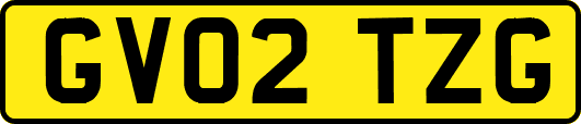 GV02TZG