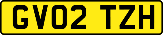GV02TZH