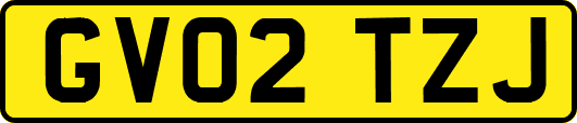 GV02TZJ