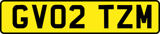 GV02TZM