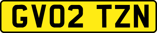 GV02TZN