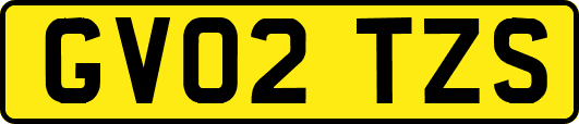 GV02TZS