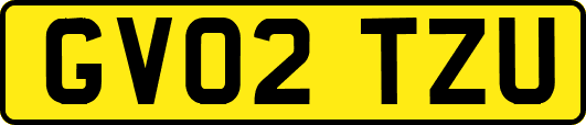 GV02TZU
