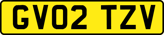 GV02TZV