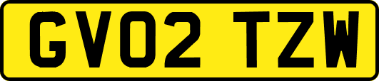 GV02TZW