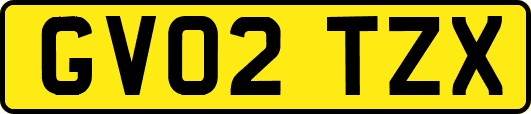 GV02TZX