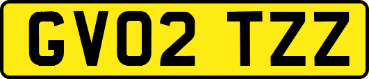 GV02TZZ