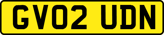GV02UDN
