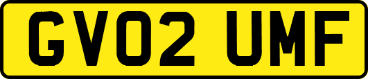 GV02UMF