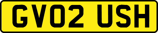 GV02USH