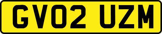 GV02UZM