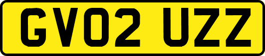 GV02UZZ
