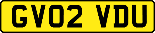 GV02VDU