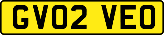 GV02VEO