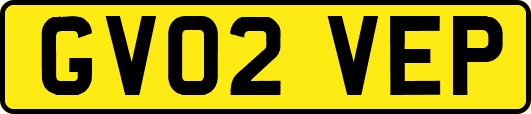 GV02VEP