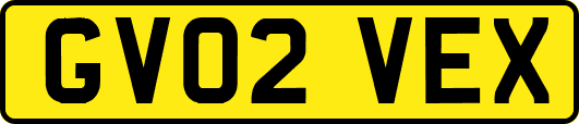 GV02VEX