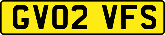 GV02VFS