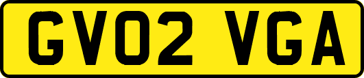 GV02VGA