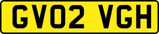 GV02VGH