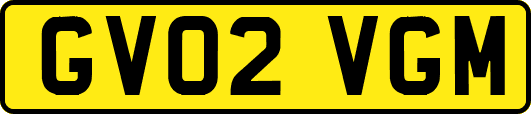 GV02VGM