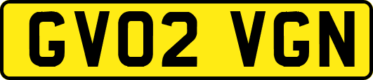 GV02VGN