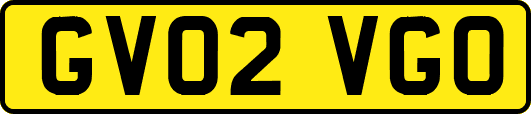 GV02VGO