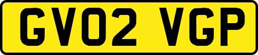 GV02VGP
