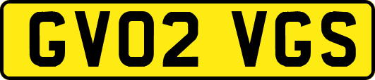 GV02VGS