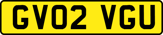 GV02VGU