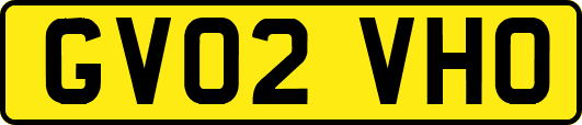 GV02VHO