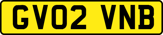 GV02VNB