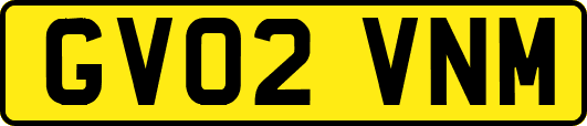 GV02VNM