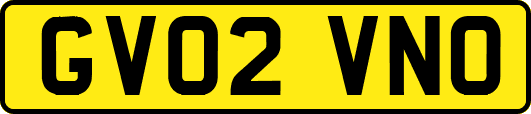 GV02VNO