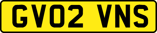 GV02VNS