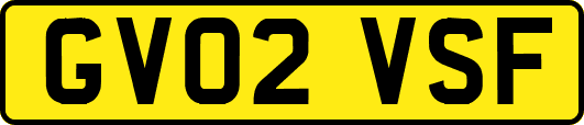 GV02VSF