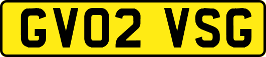 GV02VSG