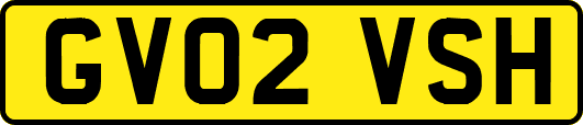 GV02VSH