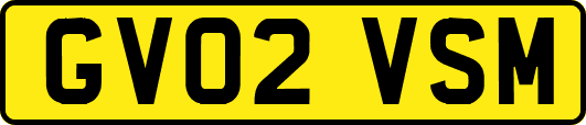 GV02VSM
