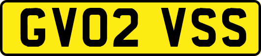 GV02VSS