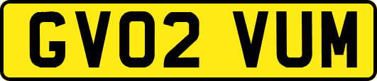 GV02VUM