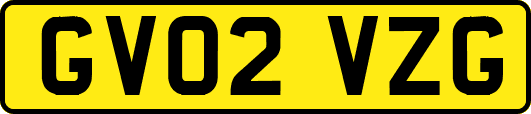 GV02VZG