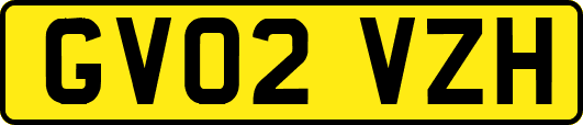 GV02VZH