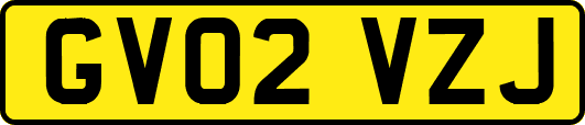 GV02VZJ