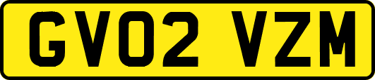 GV02VZM