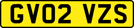 GV02VZS