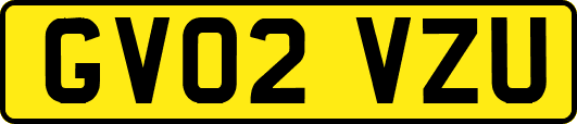 GV02VZU
