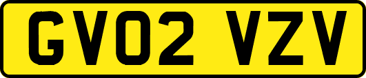 GV02VZV